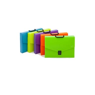 Datazone - cartella portadocumenti con manico - chiusura con clip singola centrale - formato 27,5 x 37,5 x 5 cm - colori fluo