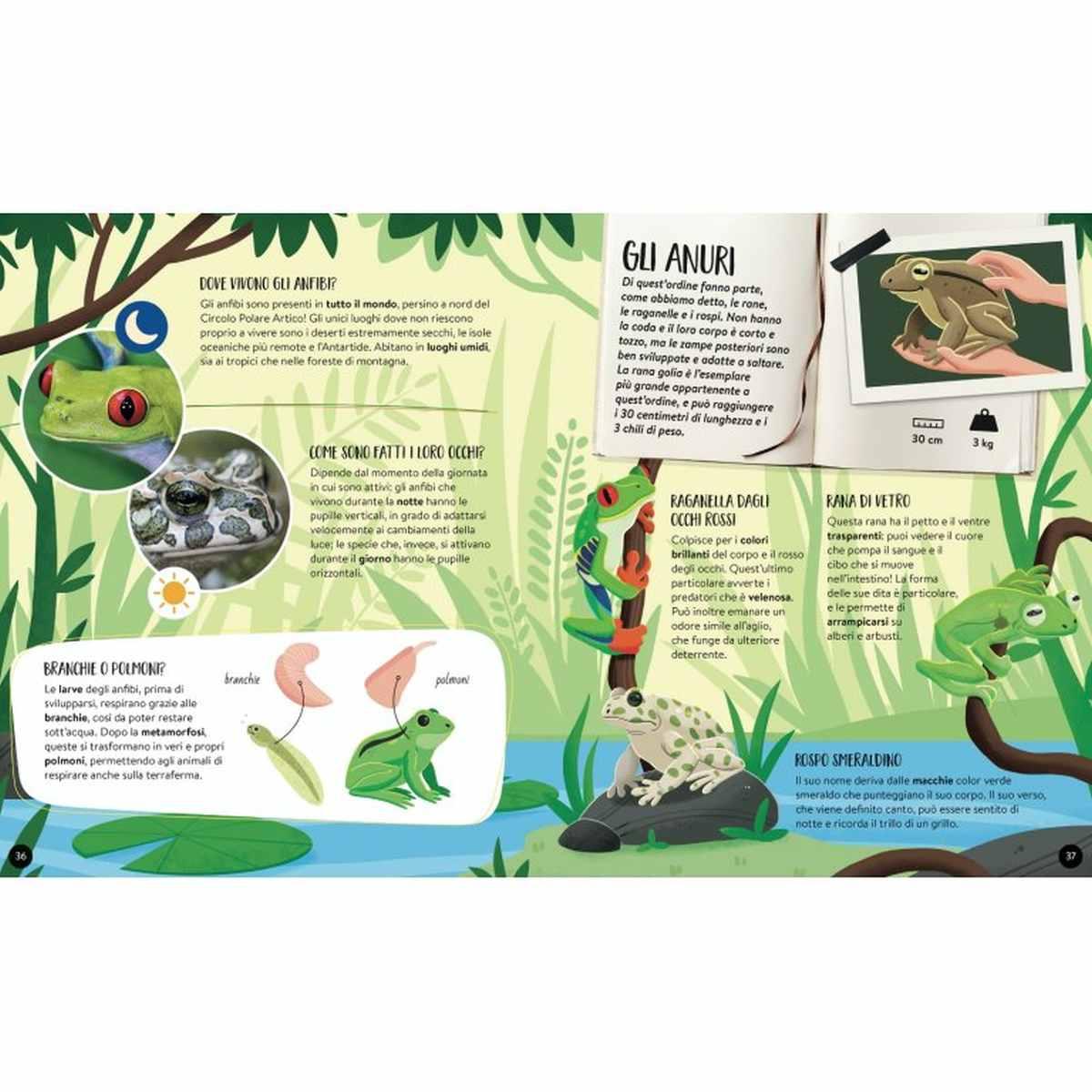 Sassi - mega atlas - il mega atlante degli animali