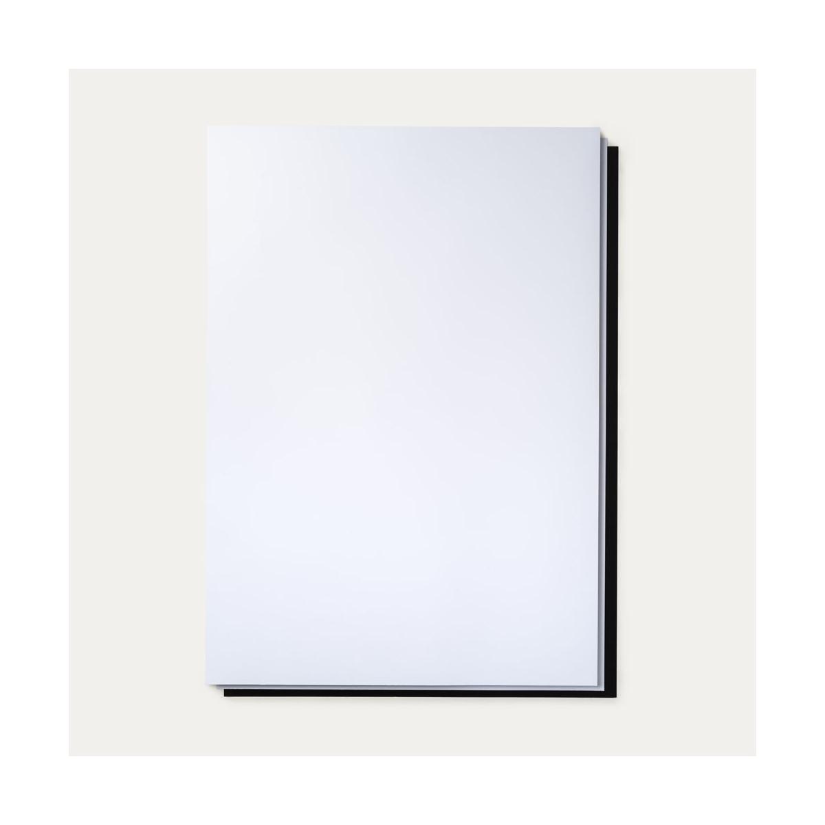 FAVINI - CARTONCINO PESANTE BRISTOL - BIANCO - 700 GR - 71 X 101 CM<br />