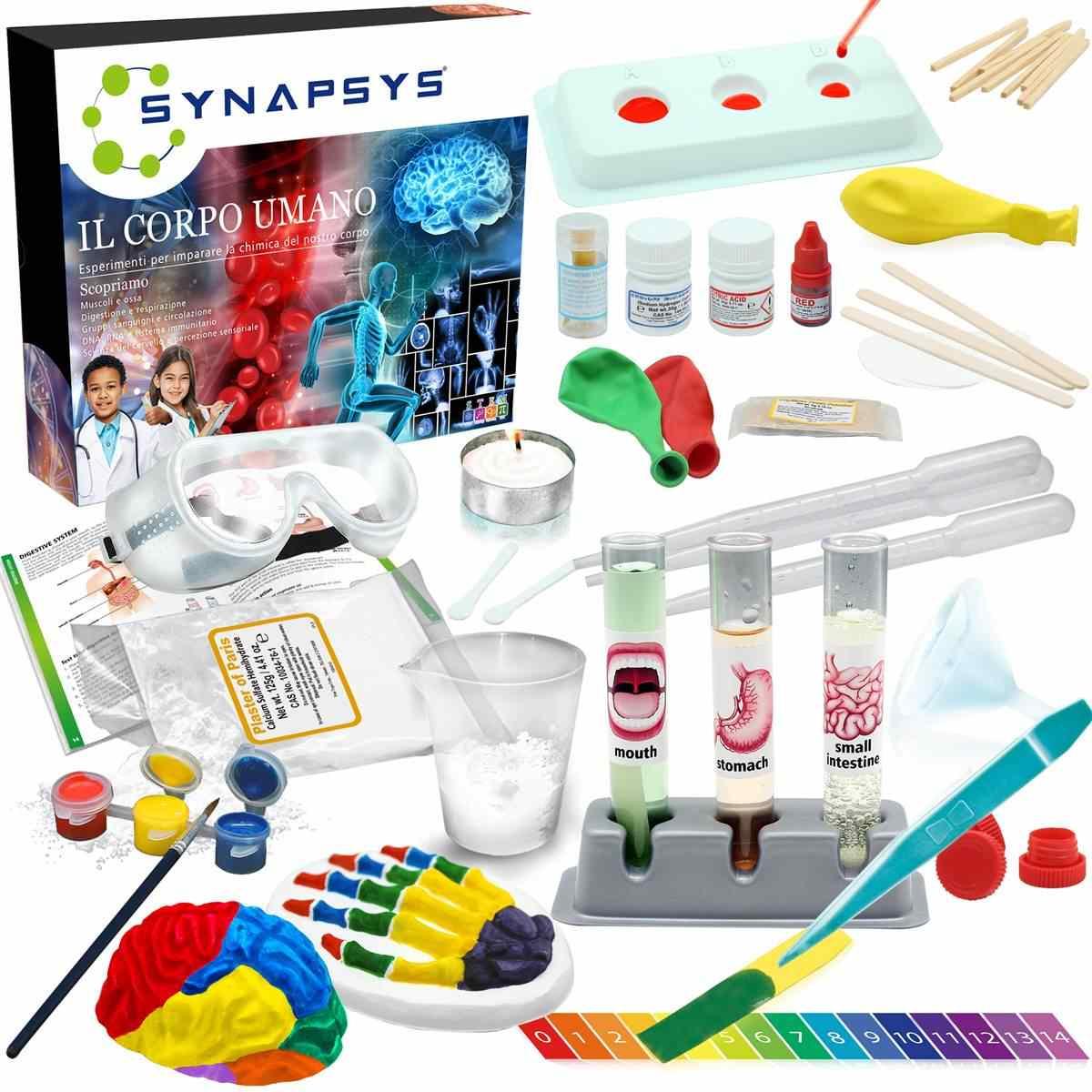 Synapsys il corpo umano