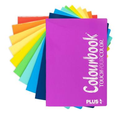Colourbook maxi quaderno a4 plus - fluo - 100 gr 96+1 fg