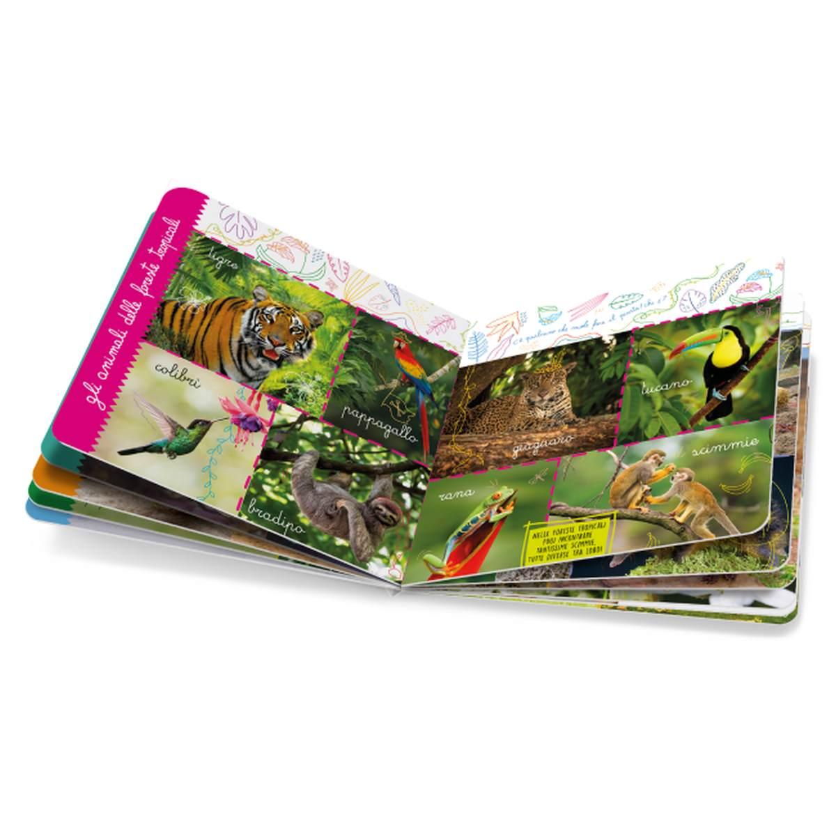 Montessori le enciclopedie dei piccoli  animali del mondo