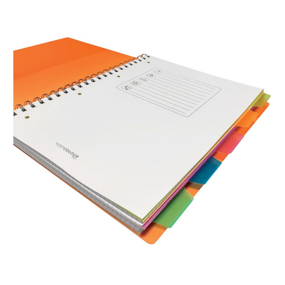 Trascolor quaderni spiralati con divisori a5 5 divisori 120fg 70gr
