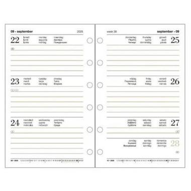 Ricambio organizer settimanale - 6 foti - 9,5 x 17 cm