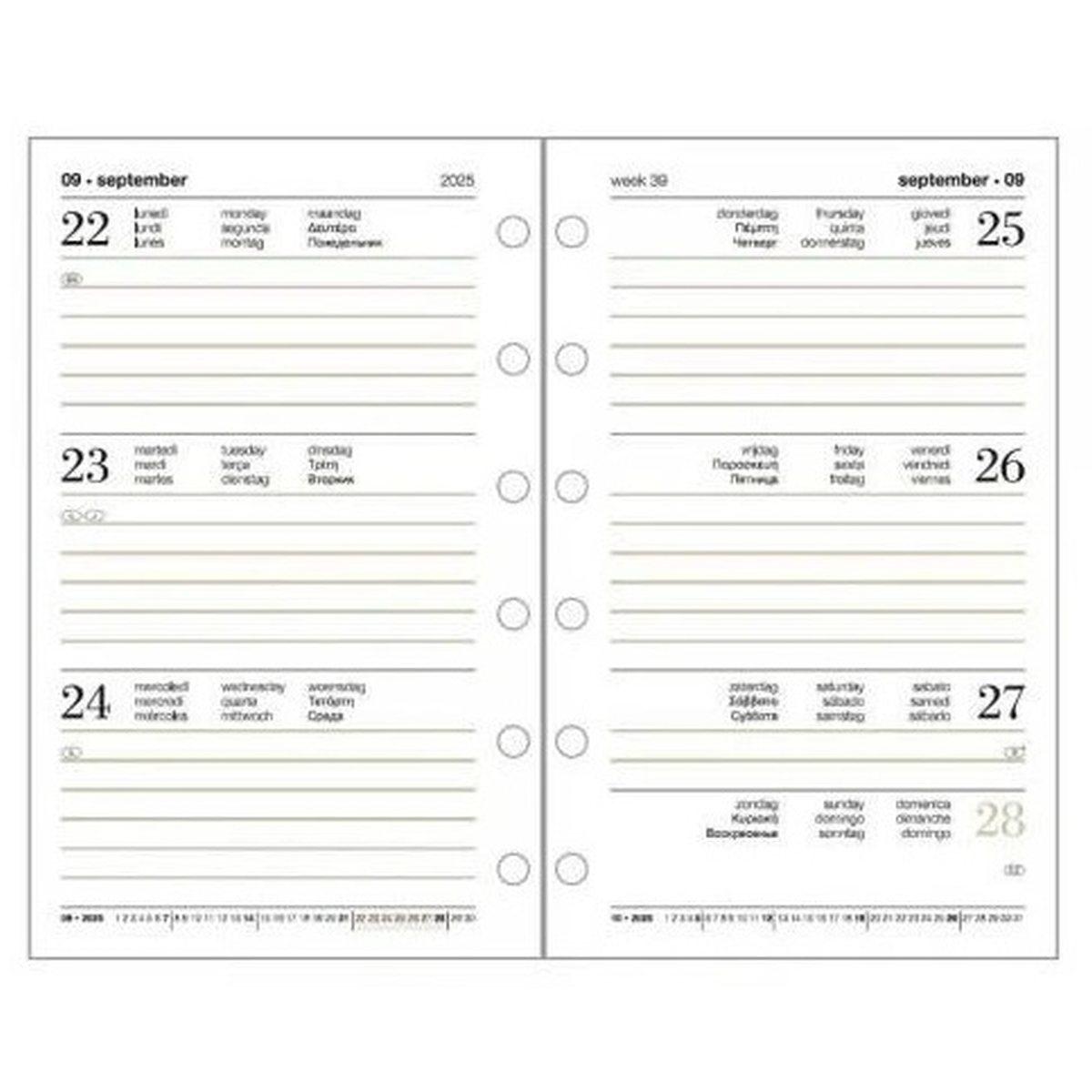 Ricambio organizer settimanale - 6 fori - 14,5 x 21 cm