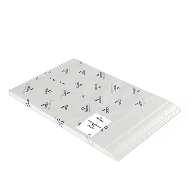 Canson foglio carta liscia da disegno c4 - foglio bristol opalina - 70 x 100cm - 200 gr/mq - extra liscia