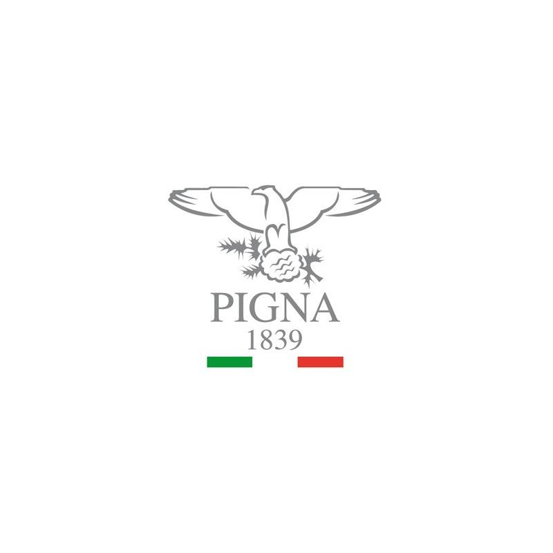 Pigna - maxi quaderni a4 flat decorative - 50 ff/sh