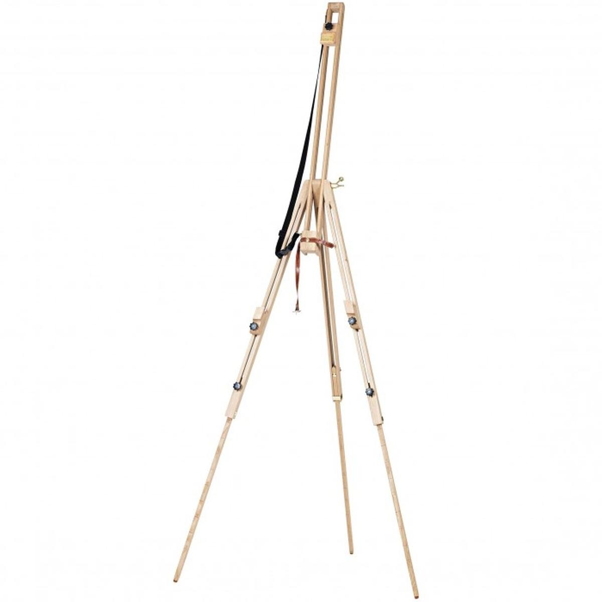 Daler rowney artists cavaletto campagna st. paul